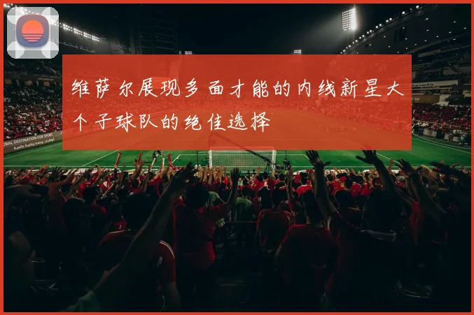 维萨尔展现多面才能的内线新星大个子球队的绝佳选择